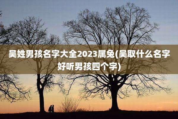 吴姓男孩名字大全2023属兔(吴取什么名字好听男孩四个字)
