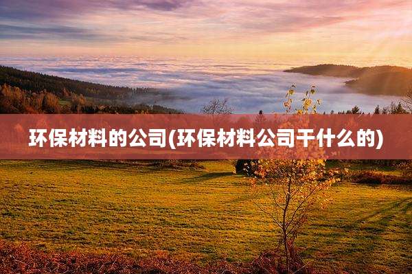 环保材料的公司(环保材料公司干什么的)
