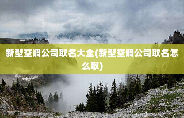 新型空调公司取名大全(新型空调公司取名怎么取)