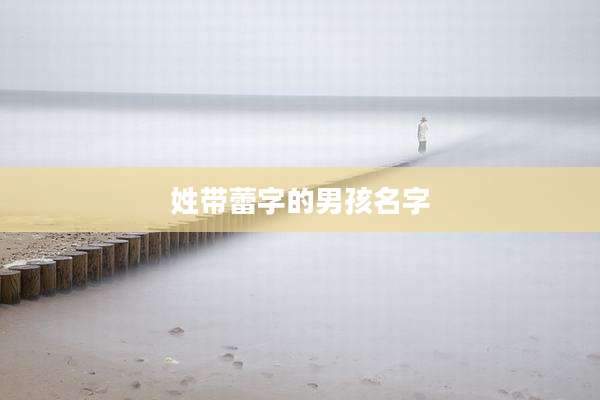 姓带蕾字的男孩名字