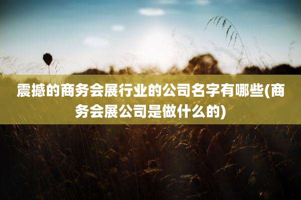 震撼的商务会展行业的公司名字有哪些(商务会展公司是做什么的)