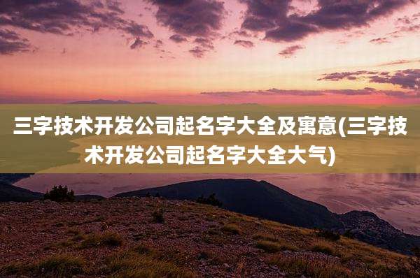三字技术开发公司起名字大全及寓意(三字技术开发公司起名字大全大气)