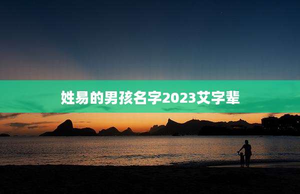 姓易的男孩名字2023艾字辈