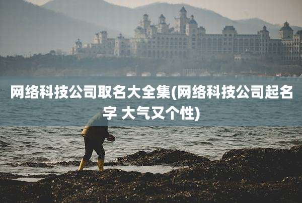 网络科技公司取名大全集(网络科技公司起名字 大气又个性)