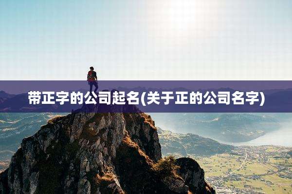 带正字的公司起名(关于正的公司名字)