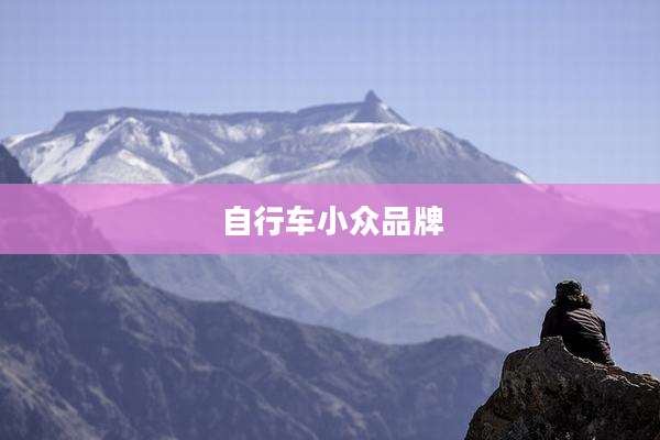 自行车小众品牌