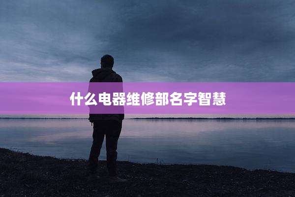 什么电器维修部名字智慧