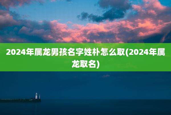 2024年属龙男孩名字姓朴怎么取(2024年属龙取名)
