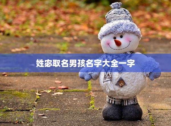 姓宓取名男孩名字大全一字
