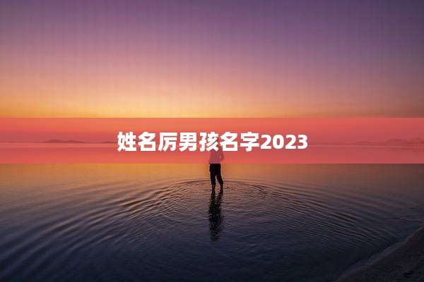姓名厉男孩名字2023