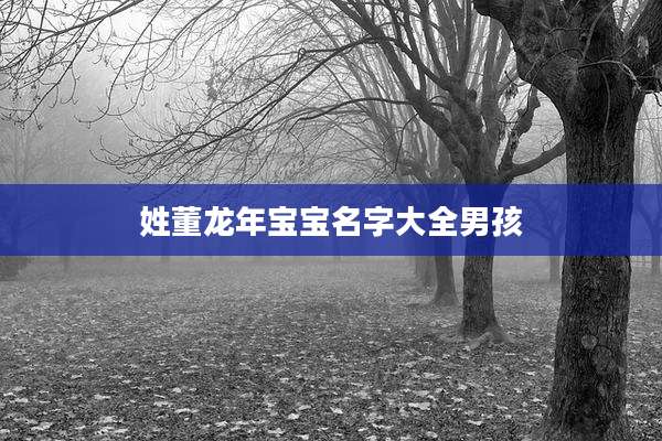 姓董龙年宝宝名字大全男孩