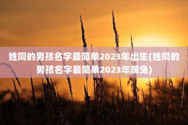 姓同的男孩名字最简单2023年出生(姓同的男孩名字最简单2023年属兔)