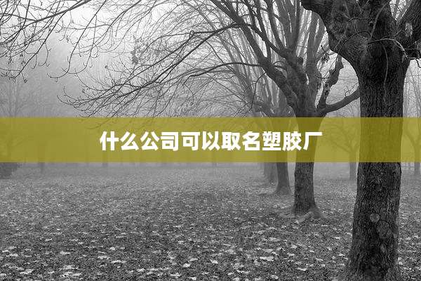 什么公司可以取名塑胶厂