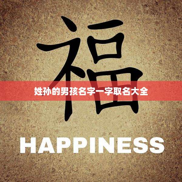 姓孙的男孩名字一字取名大全