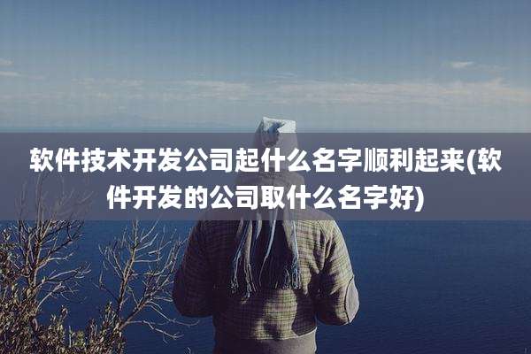软件技术开发公司起什么名字顺利起来(软件开发的公司取什么名字好)