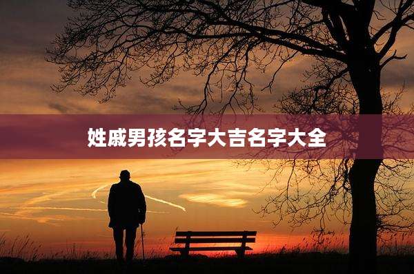 姓戚男孩名字大吉名字大全