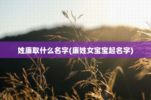 姓廉取什么名字(廉姓女宝宝起名字)