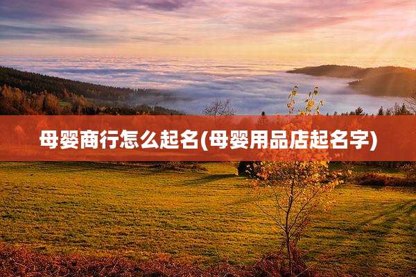母婴商行怎么起名(母婴用品店起名字)