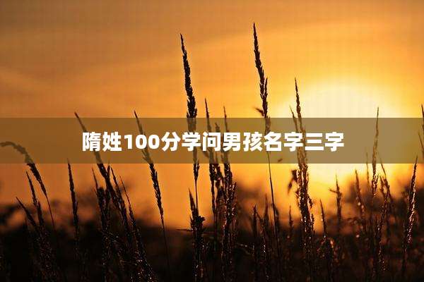 隋姓100分学问男孩名字三字