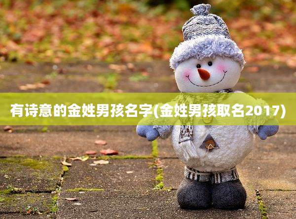 有诗意的金姓男孩名字(金姓男孩取名2017)