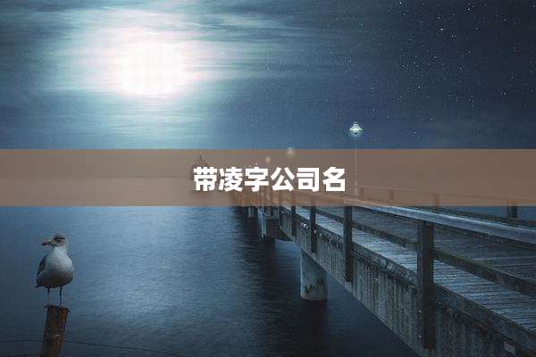 带凌字公司名