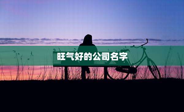 旺气好的公司名字