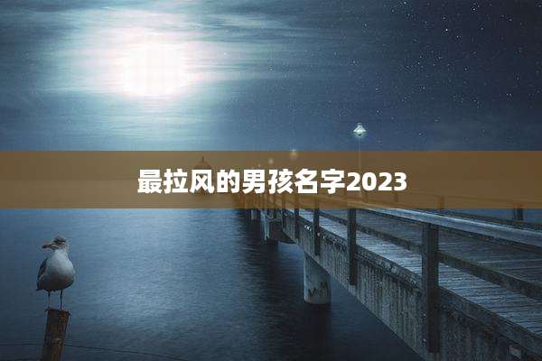 最拉风的男孩名字2023