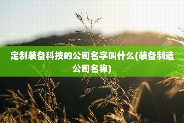 定制装备科技的公司名字叫什么(装备制造公司名称)