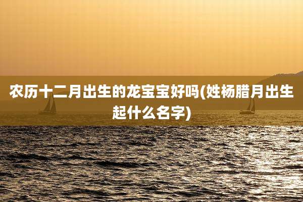 农历十二月出生的龙宝宝好吗(姓杨腊月出生起什么名字)