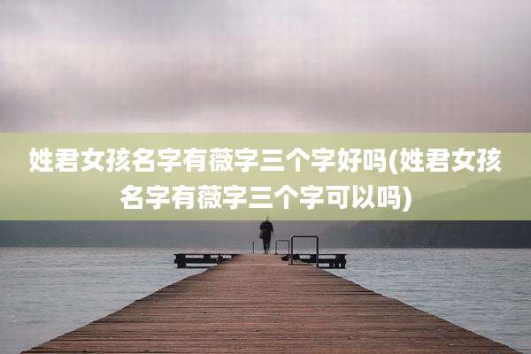 姓君女孩名字有薇字三个字好吗(姓君女孩名字有薇字三个字可以吗)
