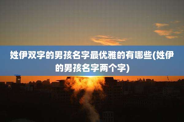 姓伊双字的男孩名字最优雅的有哪些(姓伊的男孩名字两个字)