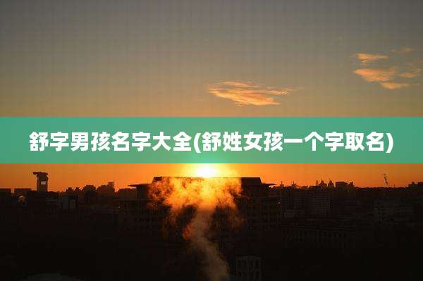 舒字男孩名字大全(舒姓女孩一个字取名)