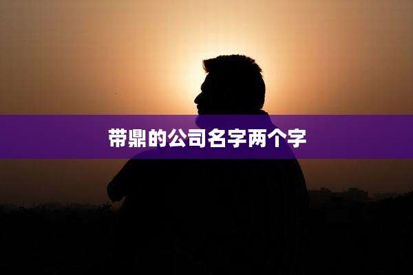 带鼎的公司名字两个字