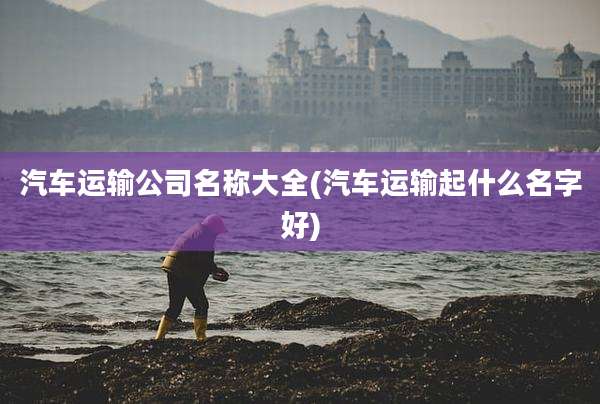 汽车运输公司名称大全(汽车运输起什么名字好)