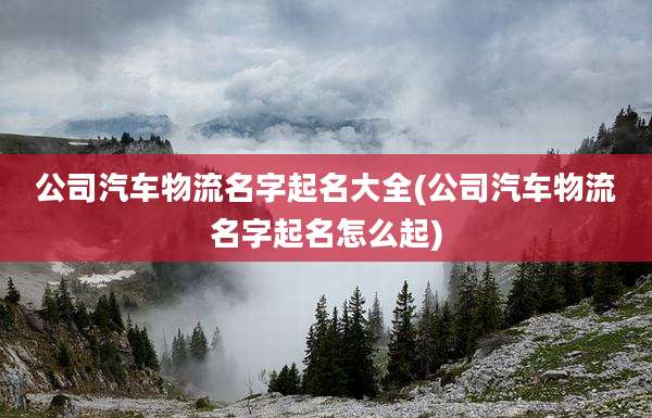 公司汽车物流名字起名大全(公司汽车物流名字起名怎么起)