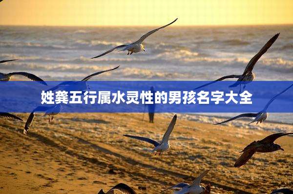姓龚五行属水灵性的男孩名字大全