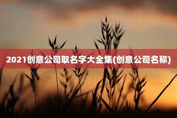 2021创意公司取名字大全集(创意公司名称)