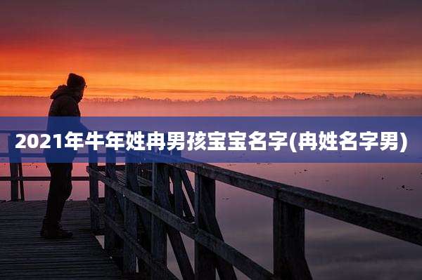 2021年牛年姓冉男孩宝宝名字(冉姓名字男)