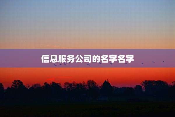 信息服务公司的名字名字