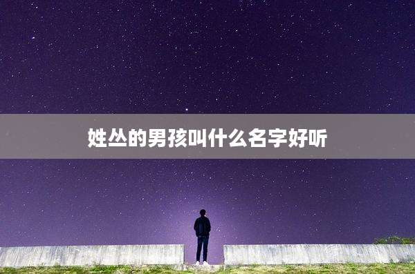 姓丛的男孩叫什么名字好听