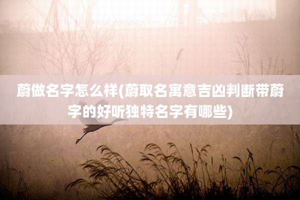 蔚做名字怎么样(蔚取名寓意吉凶判断带蔚字的好听独特名字有哪些)