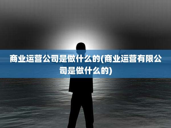 商业运营公司是做什么的(商业运营有限公司是做什么的)
