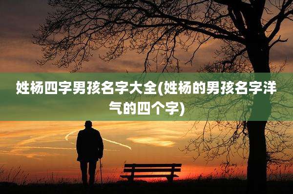 姓杨四字男孩名字大全(姓杨的男孩名字洋气的四个字)