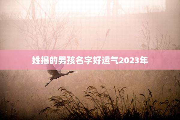 姓揭的男孩名字好运气2023年