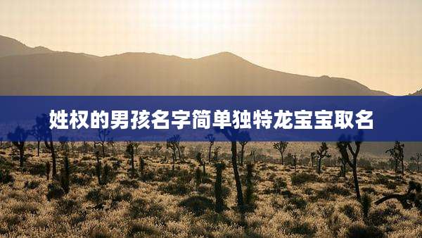 姓权的男孩名字简单独特龙宝宝取名
