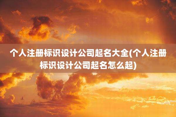 个人注册标识设计公司起名大全(个人注册标识设计公司起名怎么起)