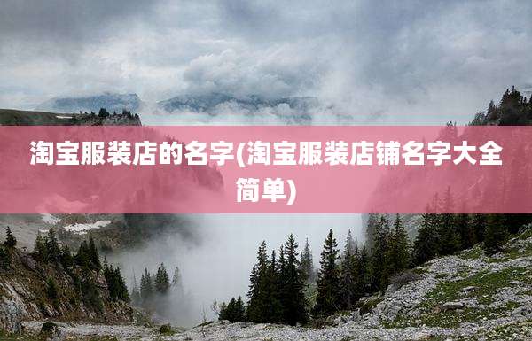 淘宝服装店的名字(淘宝服装店铺名字大全简单)