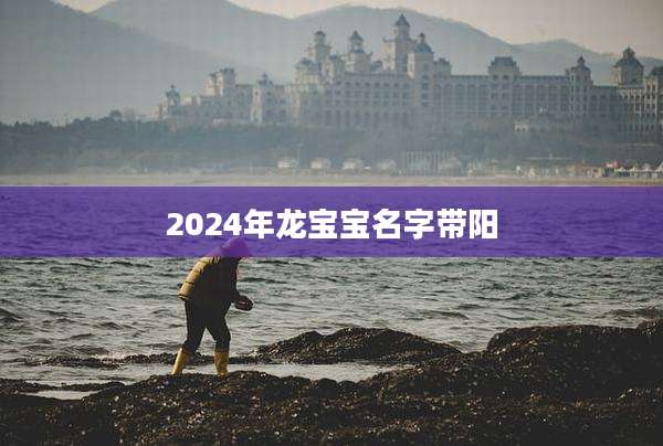 2024年龙宝宝名字带阳