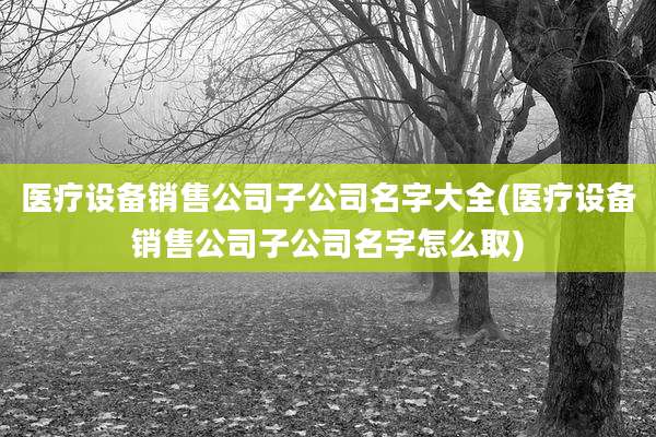 医疗设备销售公司子公司名字大全(医疗设备销售公司子公司名字怎么取)
