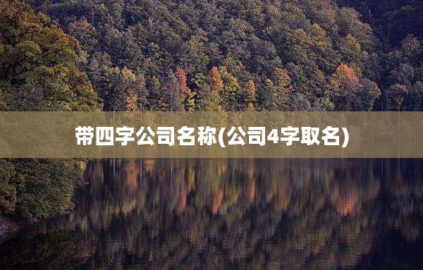 带四字公司名称(公司4字取名)